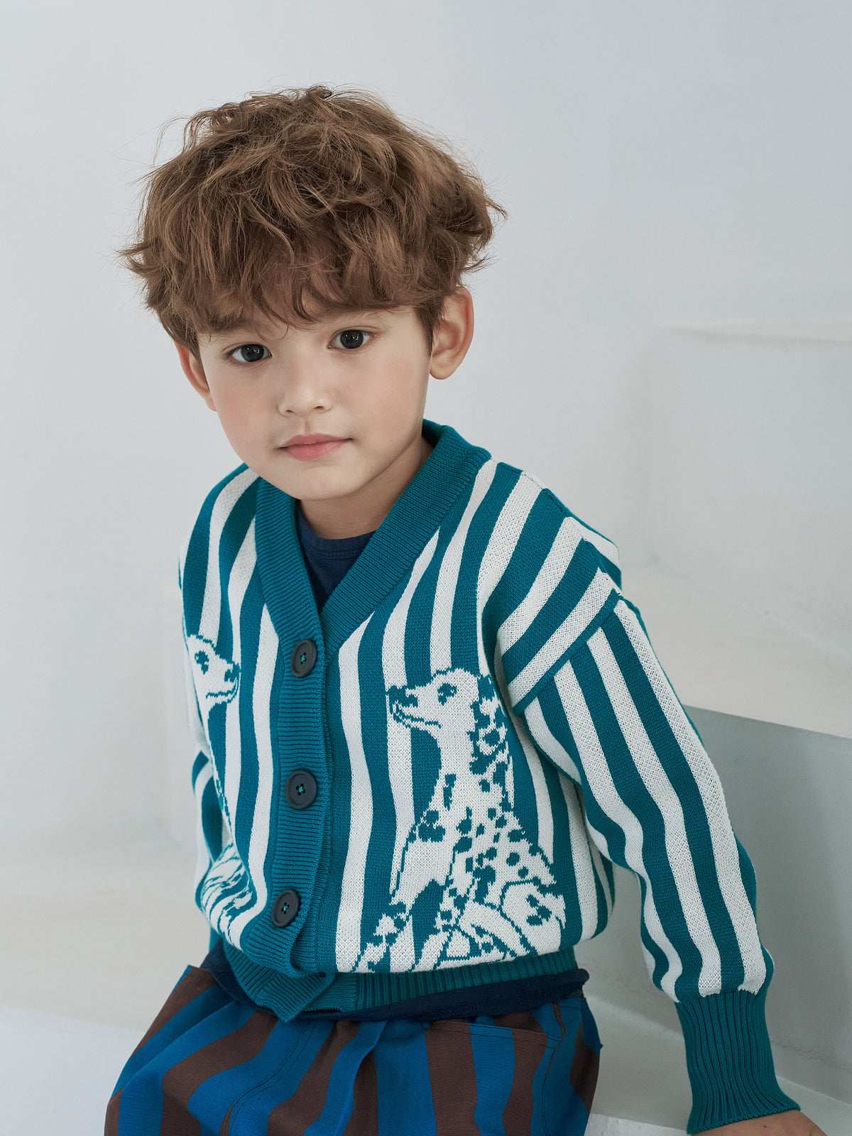 The Dalmatian Cardigan