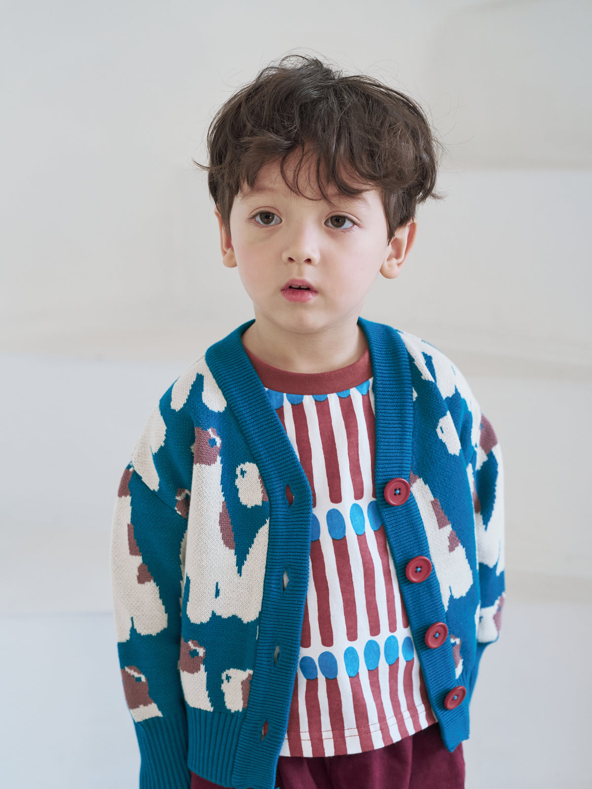The Fox Terrier Cardigan