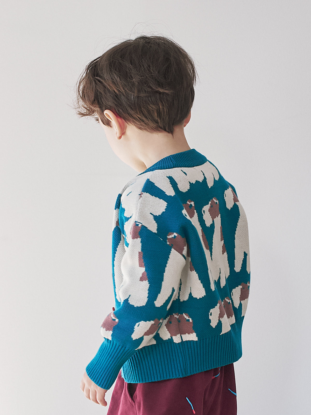 The Fox Terrier Cardigan